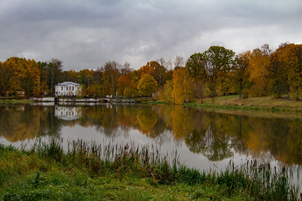 Фотография автора Дмитрий Тюрин