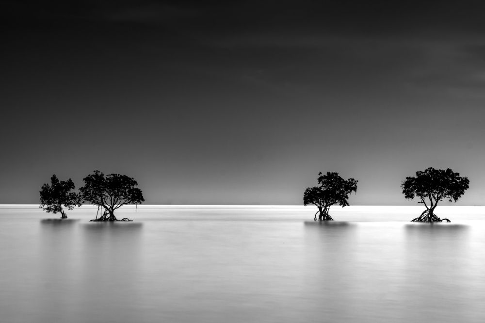 Photograph by Mohd Ezzat Moh Rasjid