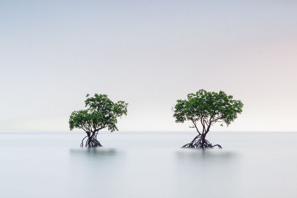 Photograph by Mohd Ezzat Moh Rasjid