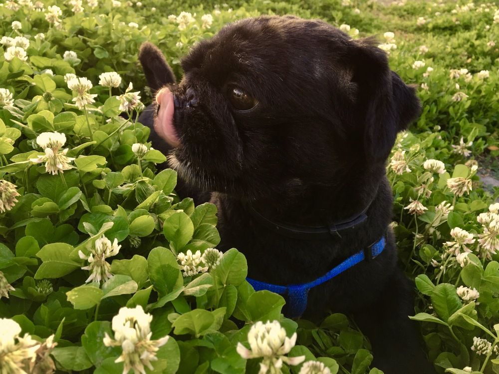 Photograph by Елена Ким