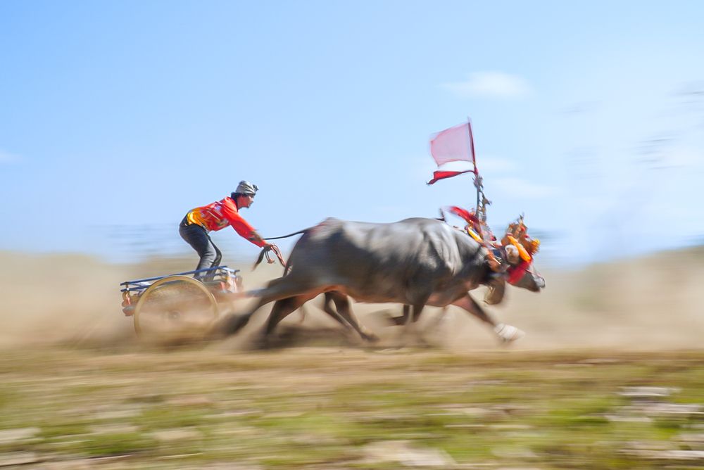 Фотография автора Tri Arya Dhyana K.