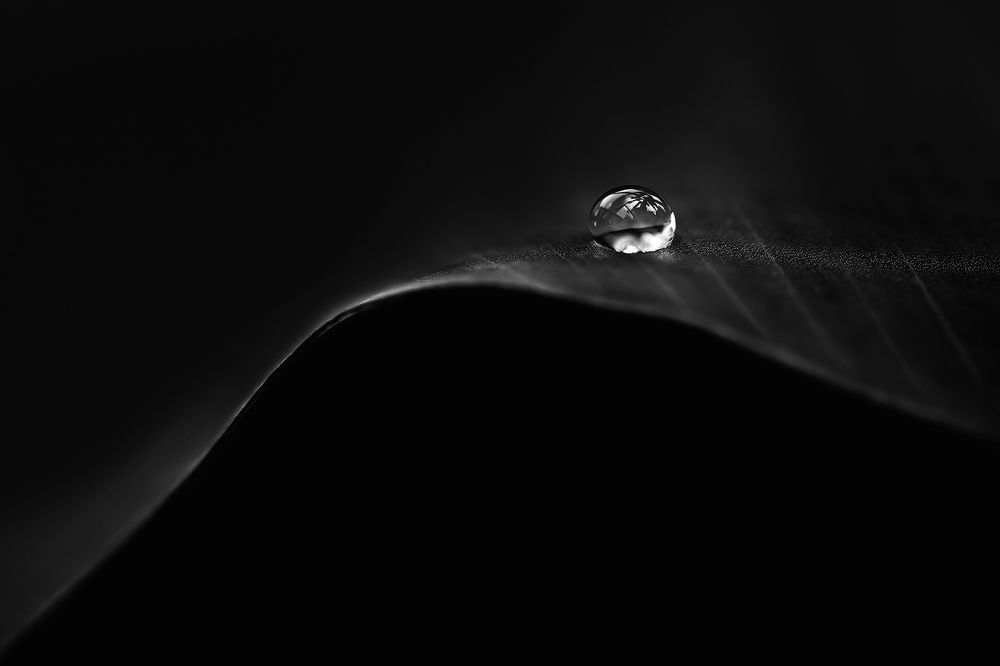 Photograph by Abel Cancino Gutierrez