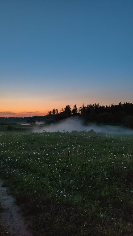 Photograph by Александра Головина