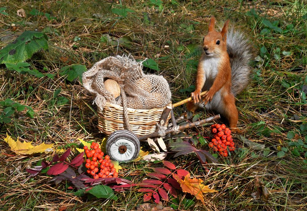 Ух, какая находка!