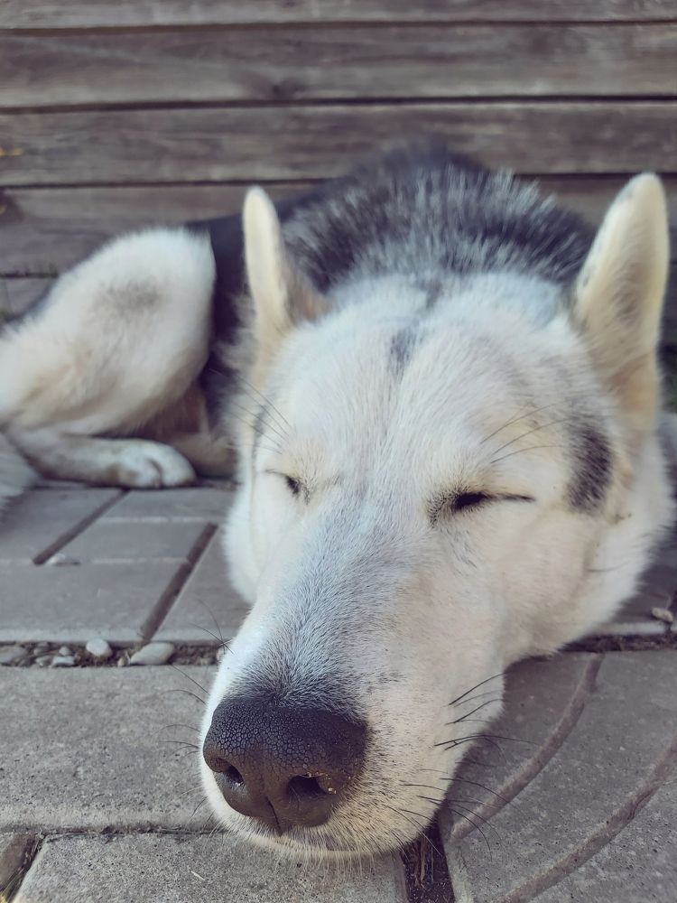 Photograph by Олег Лебедев