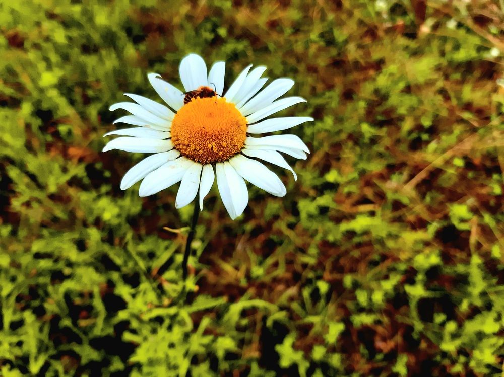 Photograph by Екатерина