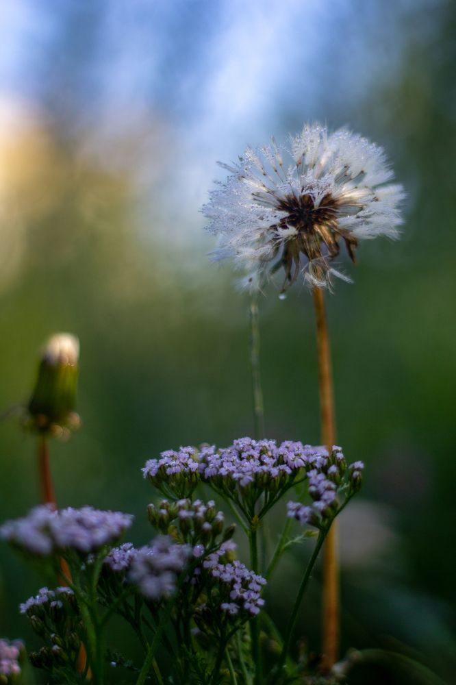 Photograph by Ирина Рыжова