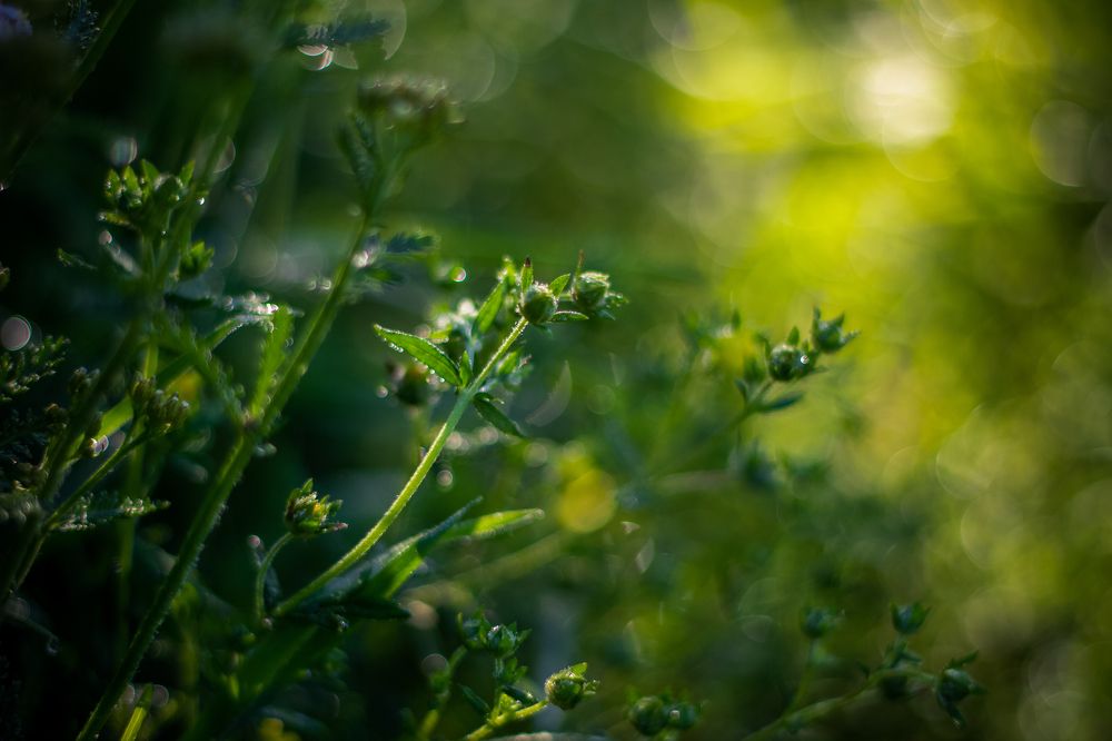 Photograph by Ирина Рыжова