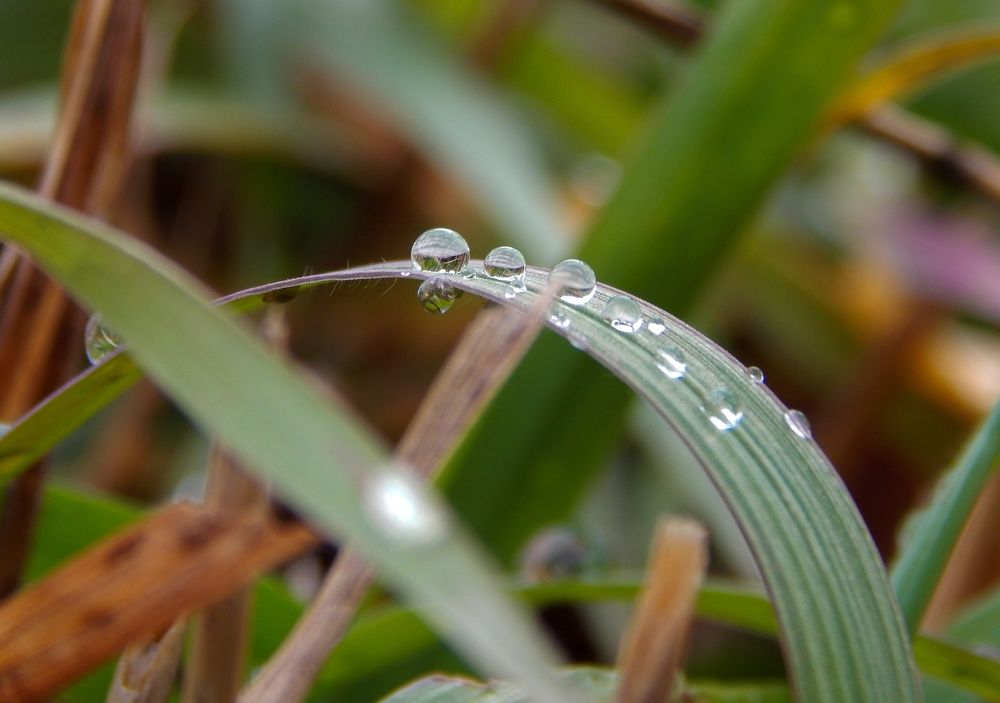 Photograph by Ирина Алпацкая