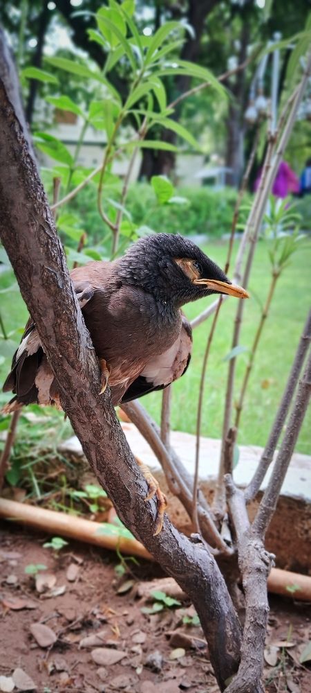 Photograph by LAKSHMI PRIYA R