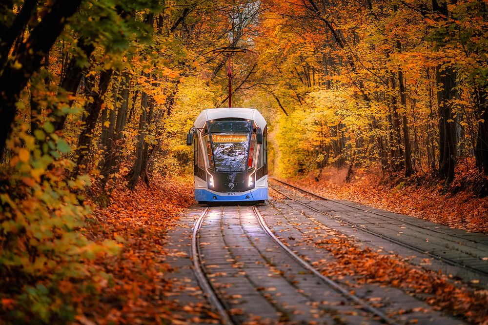 Конечная остановка - осень.