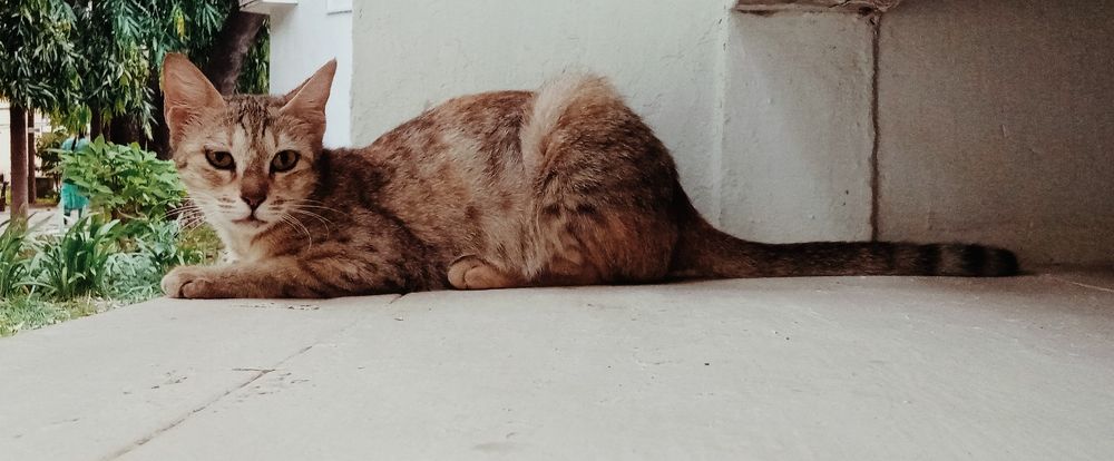 Photograph by LAKSHMI PRIYA R