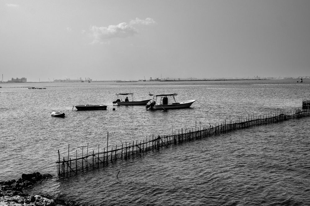 Фотография автора elias al sairafi