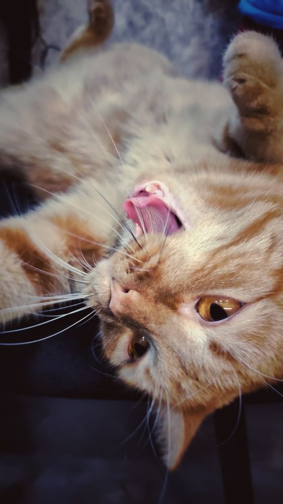 Photograph by Наталья Калюнова