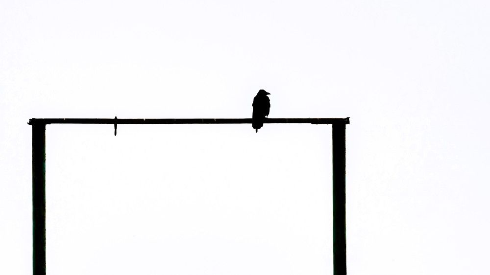 Photograph by константин