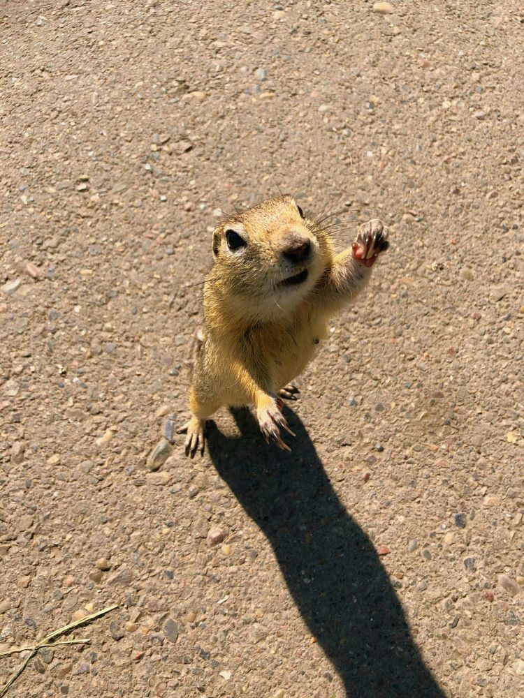 Фотография автора Светлана