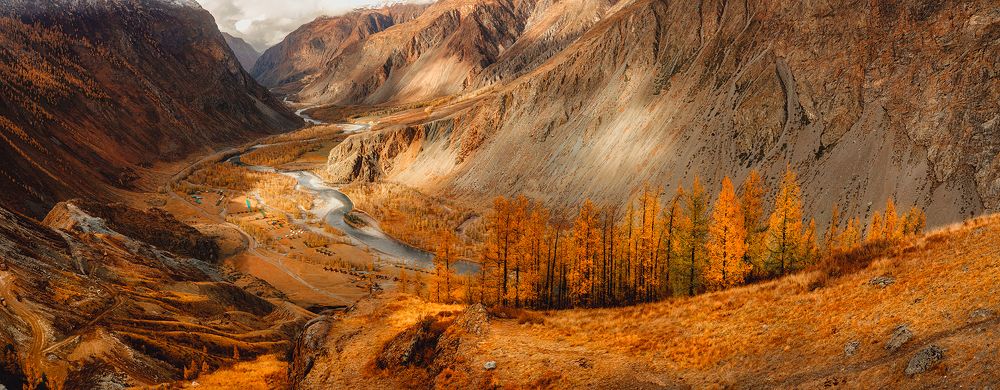 Золотой сезон