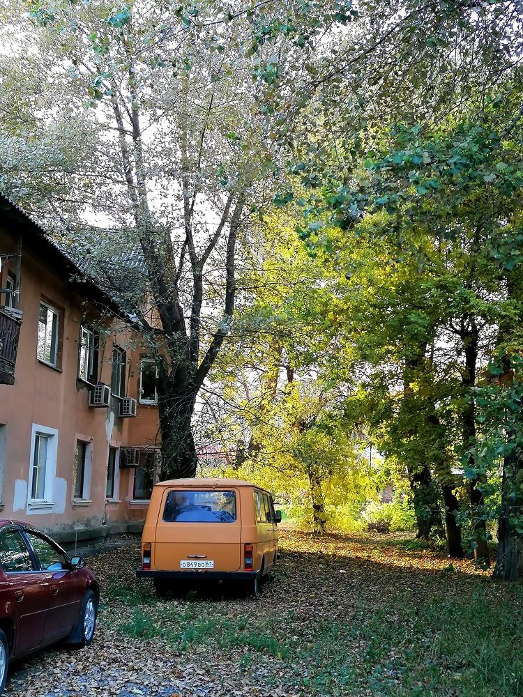 Дворовая осень