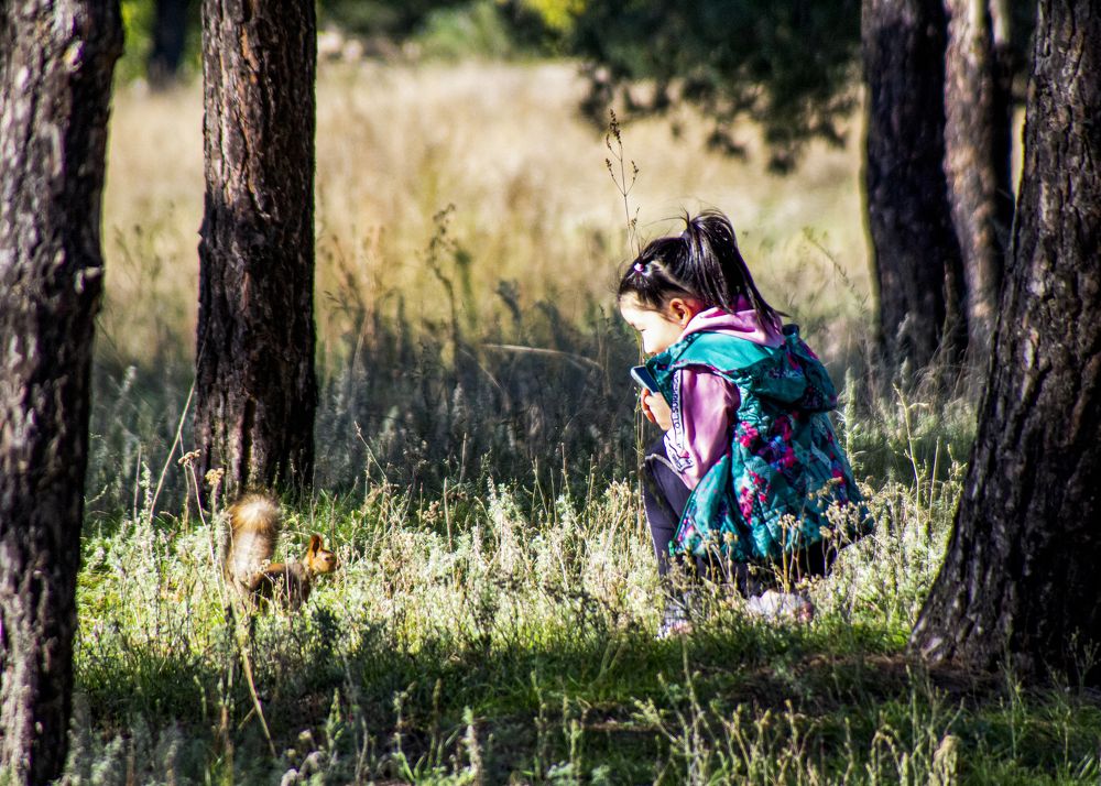 Photograph by Ирина Шибитова