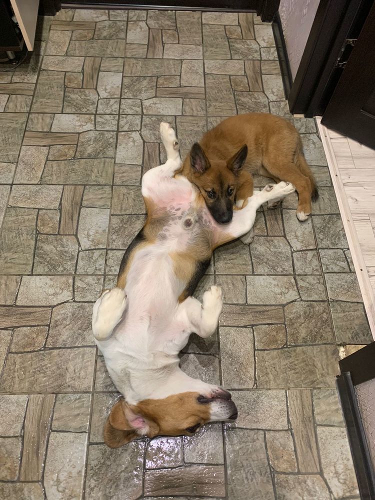 Photograph by Елена Егорова