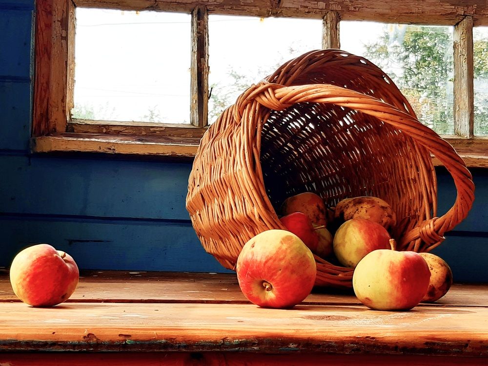 Photograph by Екатерина