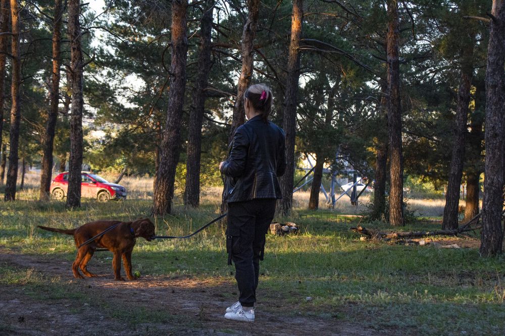 Photograph by Ирина Шибитова