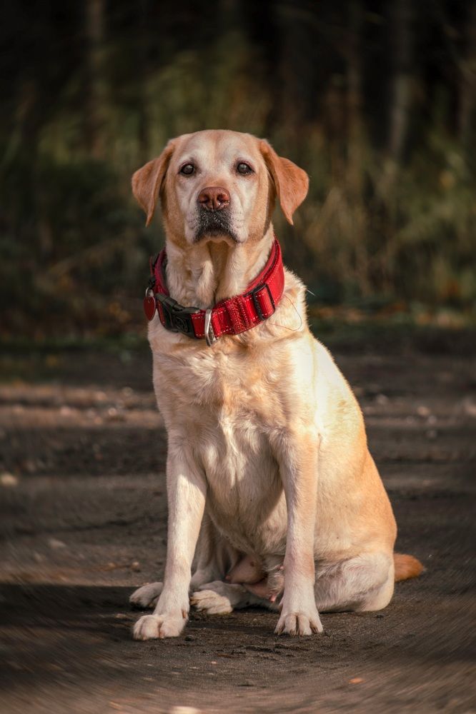 Photograph by Елена Ефимова