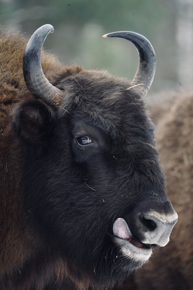 Photograph by Илья Марченко