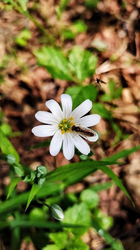 Photograph by Мария Иванова