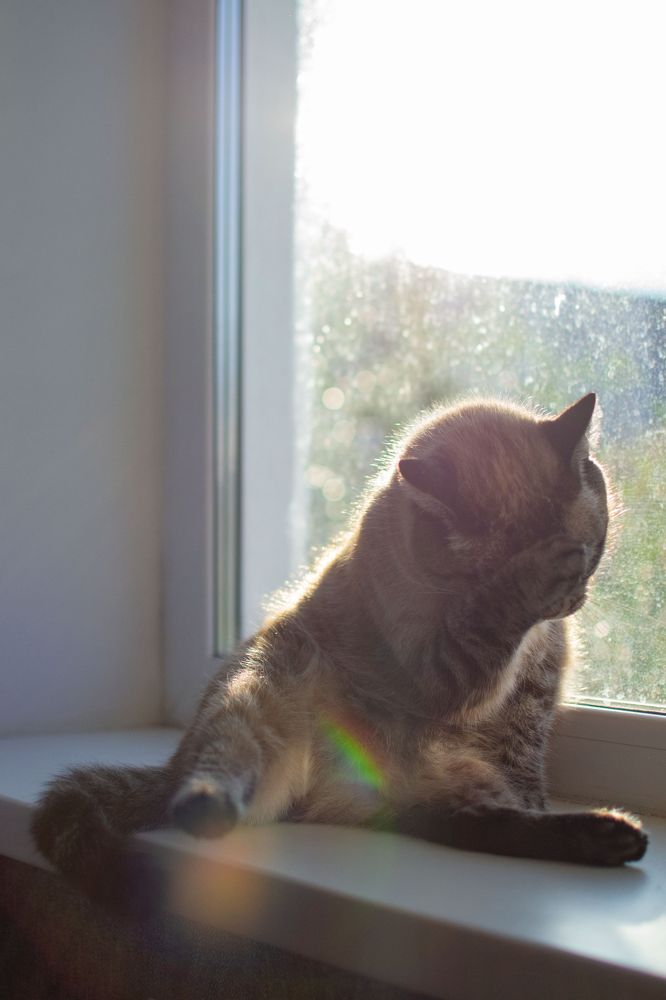 Photograph by Екатерина Паникарова