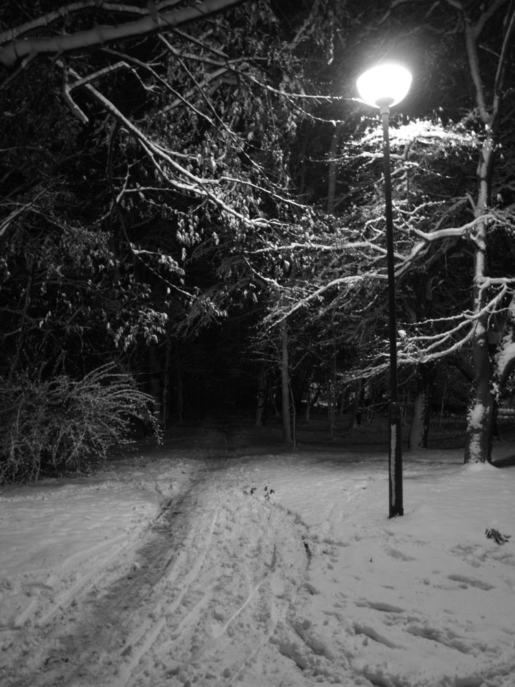 Фотография автора Dubravko Maricic