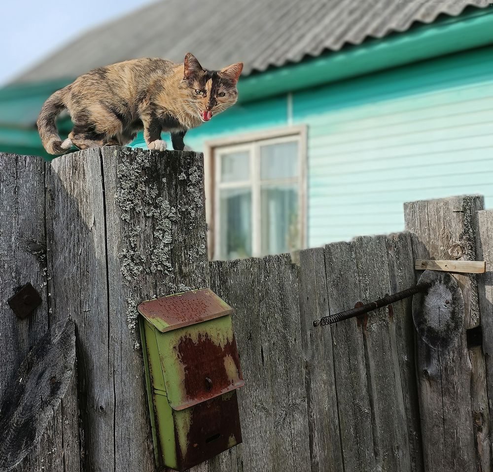 Photograph by Геннадий Васенков