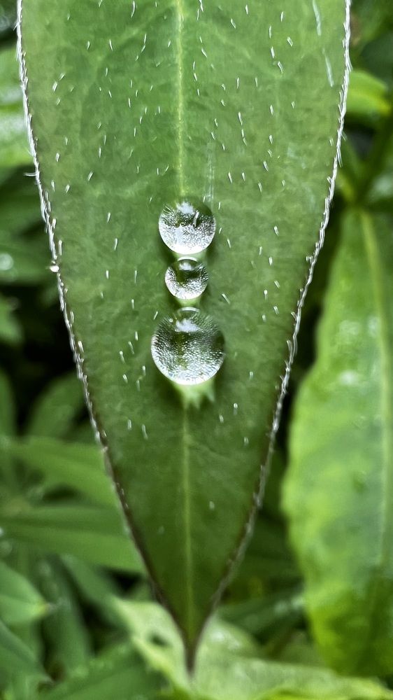 Фотография автора Юлия Недосекина