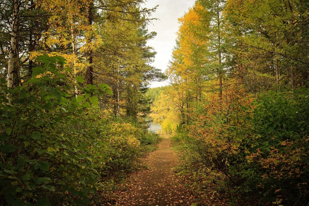 Photograph by Надежда Ключкина
