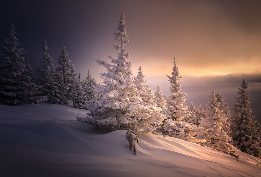 Photograph by Бирюкова Татьяна