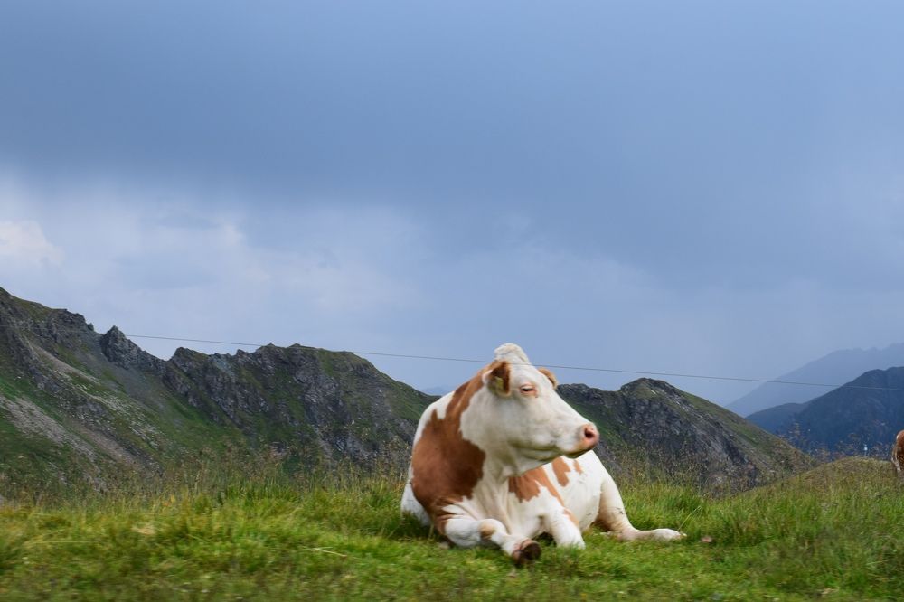 Photograph by Олег Лебедев