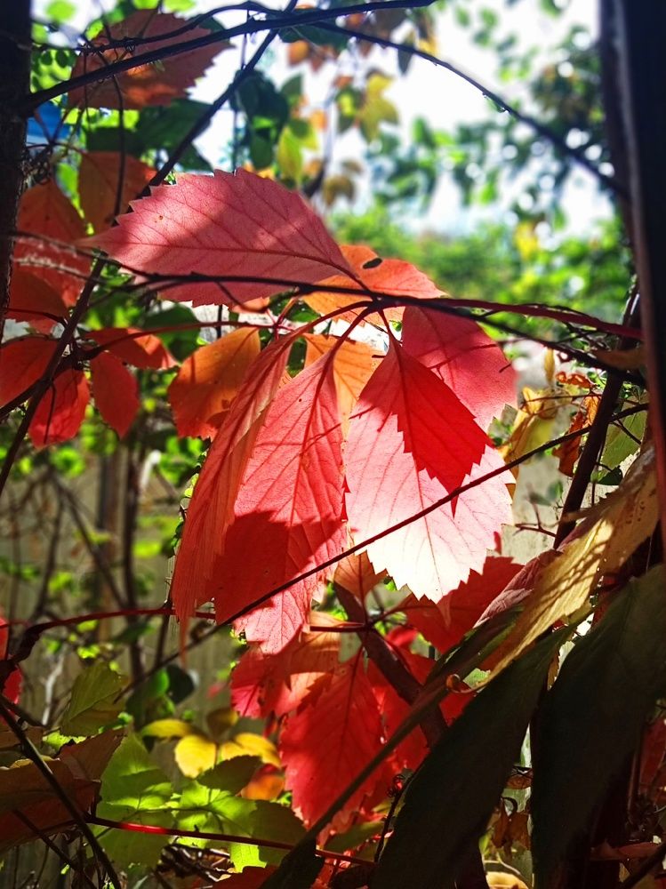 Photograph by Валентина Смирнова