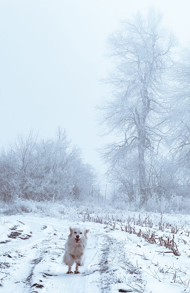 Photograph by Polina