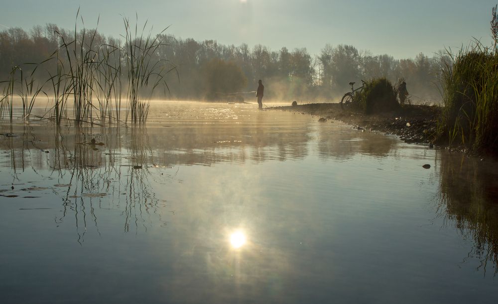 Photograph by Елена Гольдебаева
