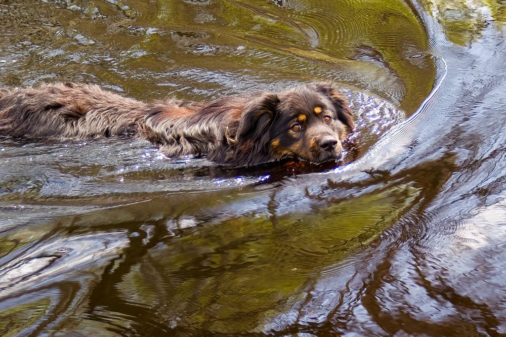 Photograph by Юрий Спасенников