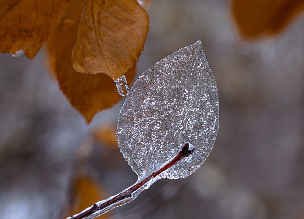 Photograph by Елена Гольдебаева