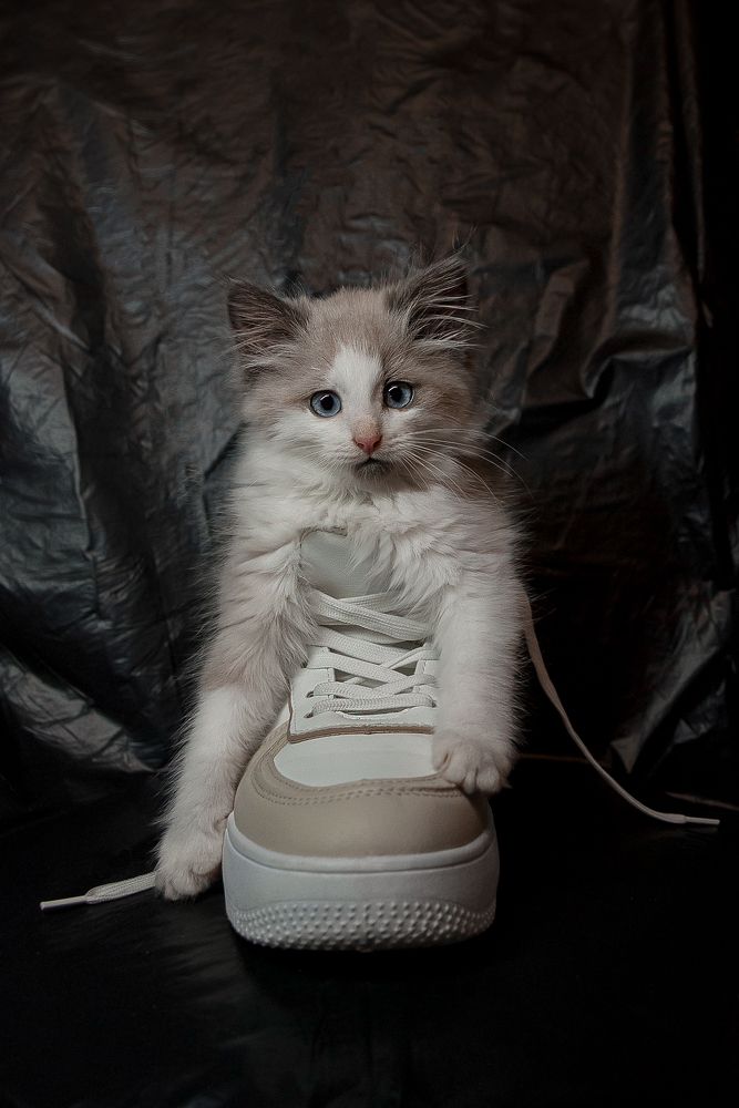 Photograph by Alena Ivanova