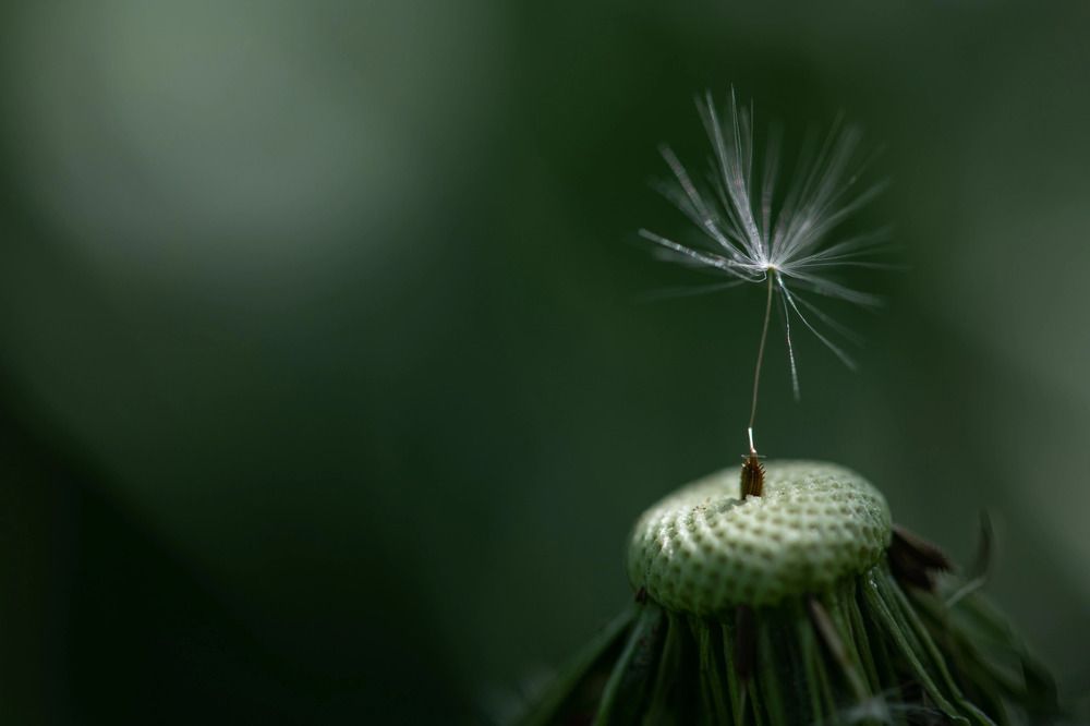 Photograph by Polina