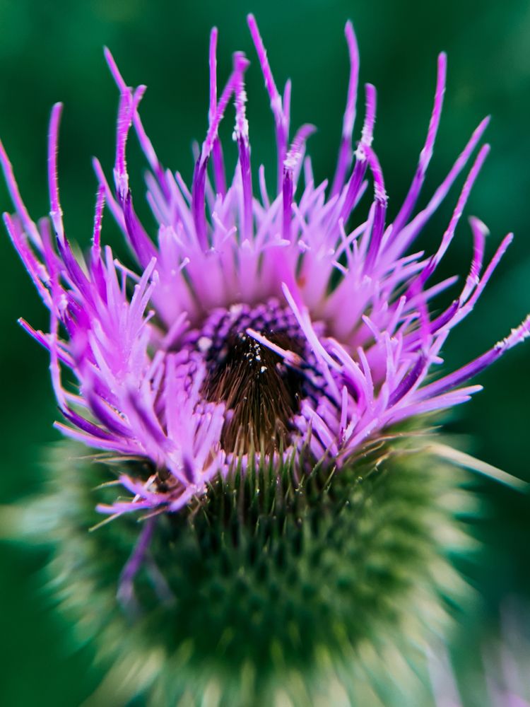 Photograph by Polina