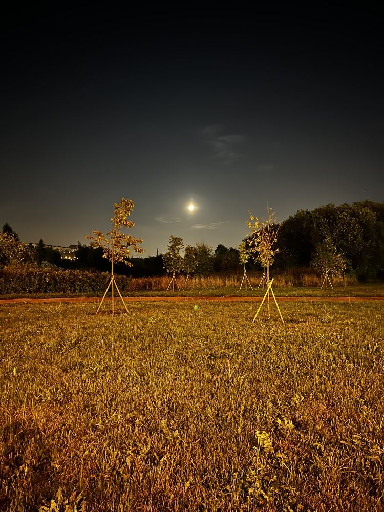 Photograph by Владимир Колатухин