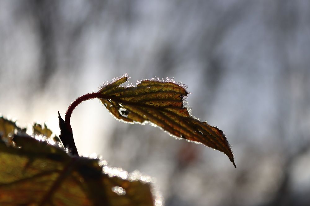 Photograph by Ирина Садовникова