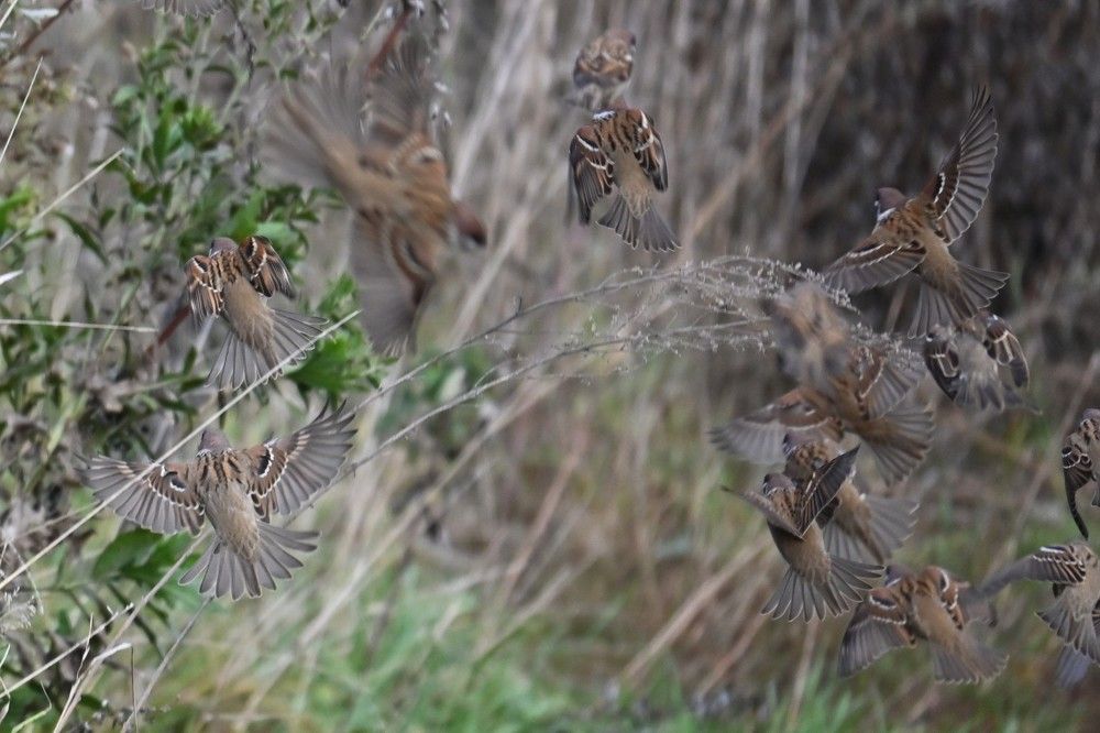 Фотография автора IRINA FILIPPOVA