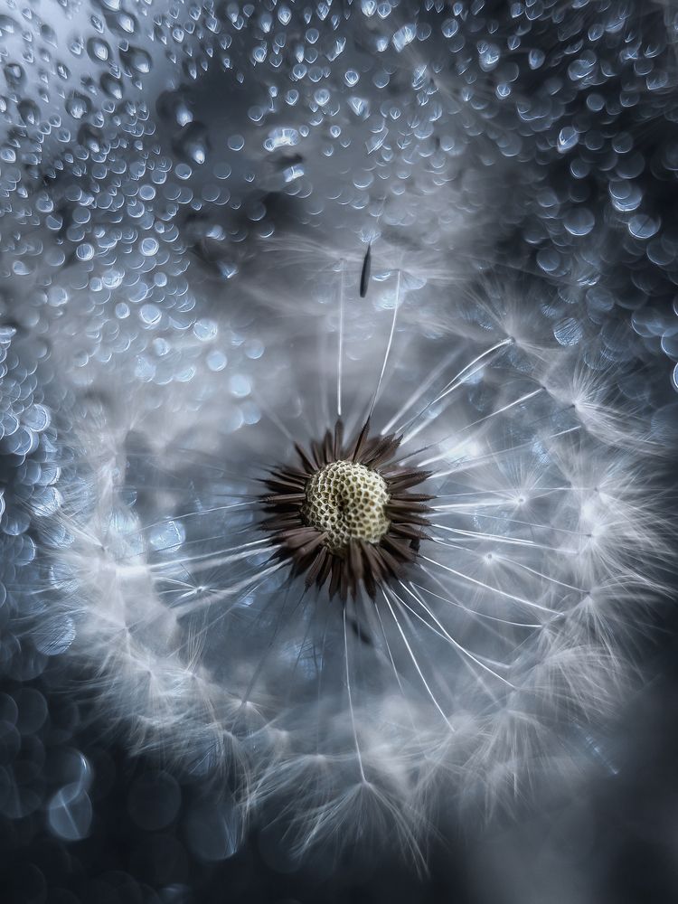 Photograph by Сальников Евгений