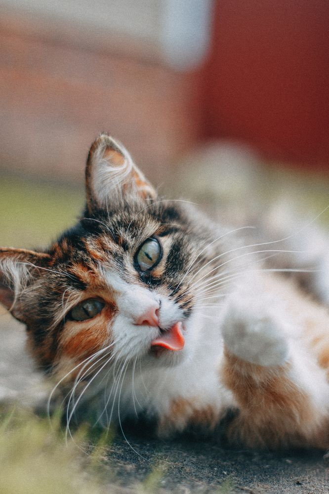 Photograph by Татьяна