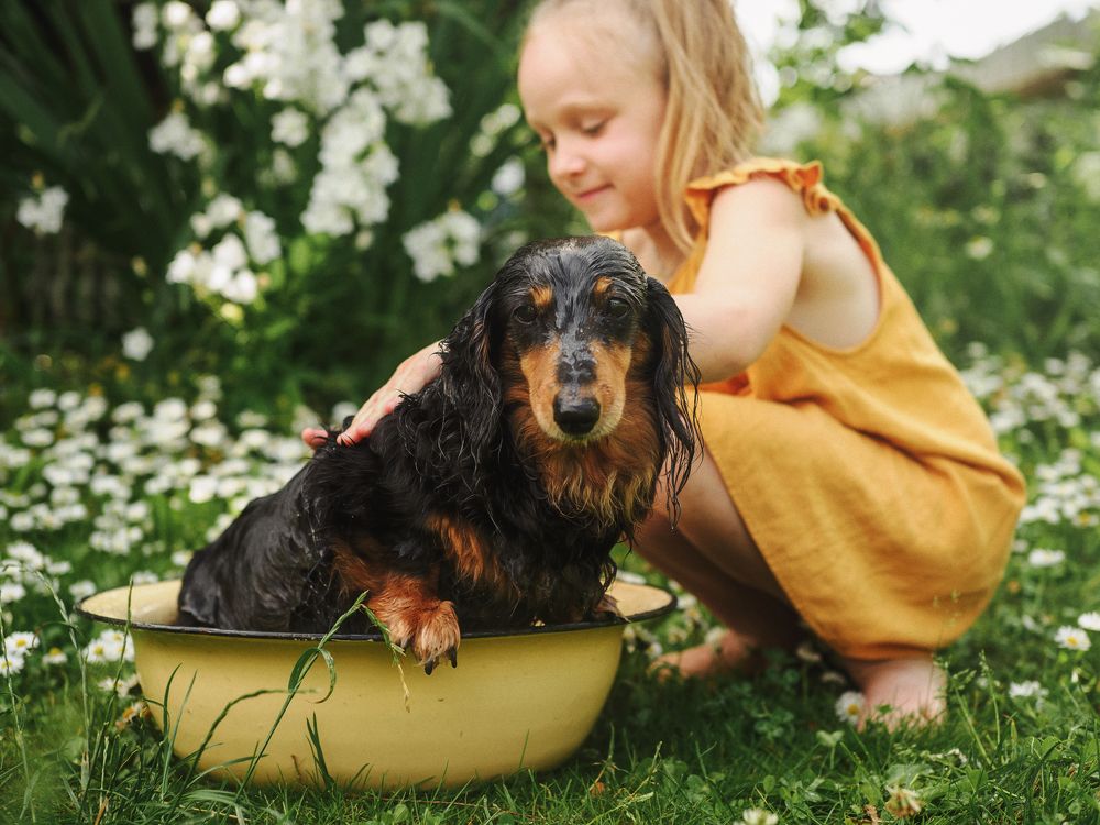 Photograph by Olga Zharkova